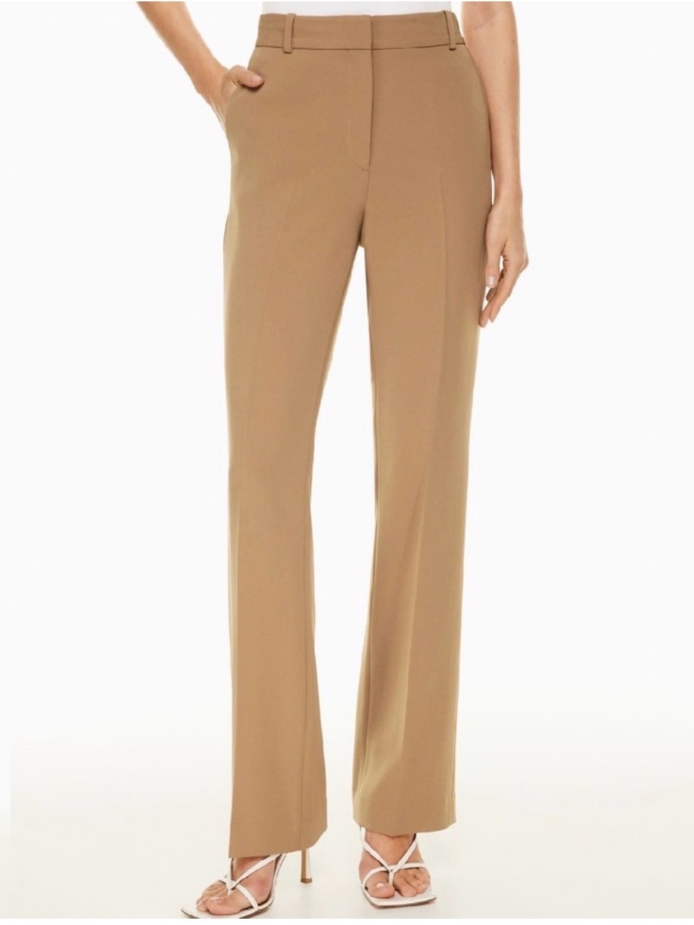 Babaton Publish pants in Camel